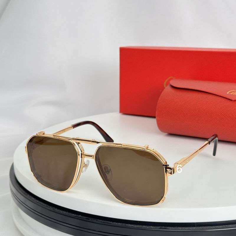 Cartier Sunglasses 531